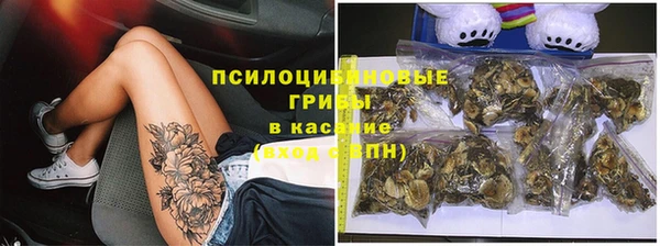 тгк Горняк