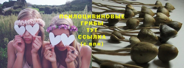мяу мяу мука Абдулино